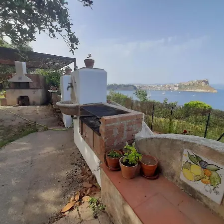 Giardino Blu Oltremare - Exlusive Garden *