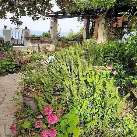 Giardino Blu Oltremare - Exlusive Garden Prázdninový dům *